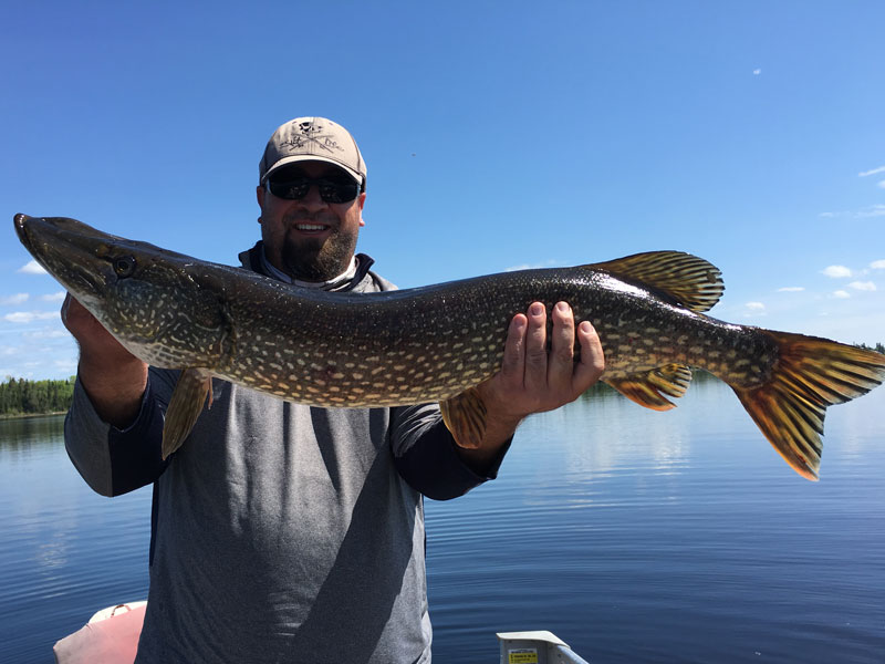 Northern Pike Fishing Trips in Ontario Canada