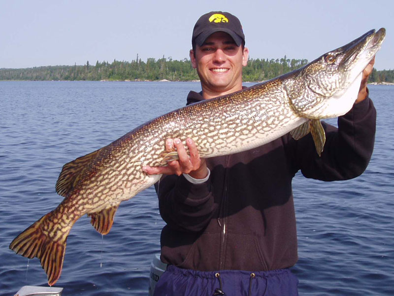 Northern Pike Fishing