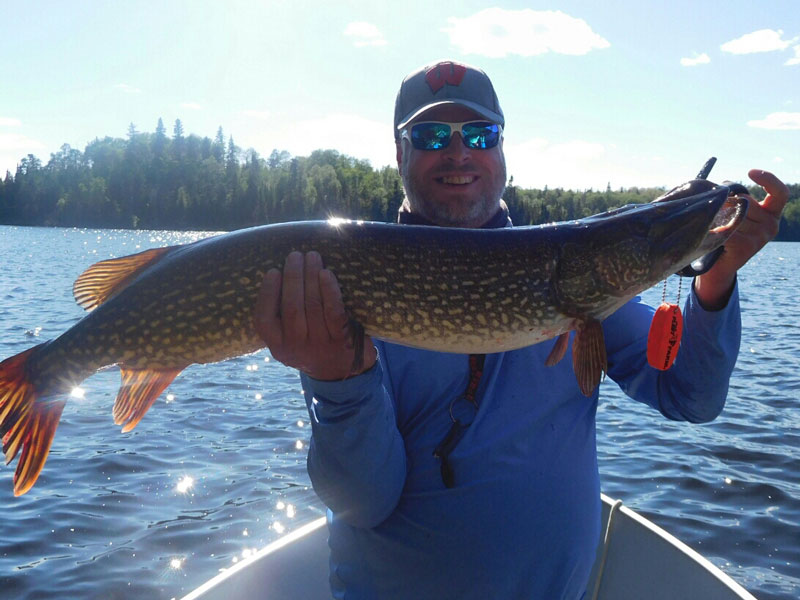 Canada Trophy Northern Pike