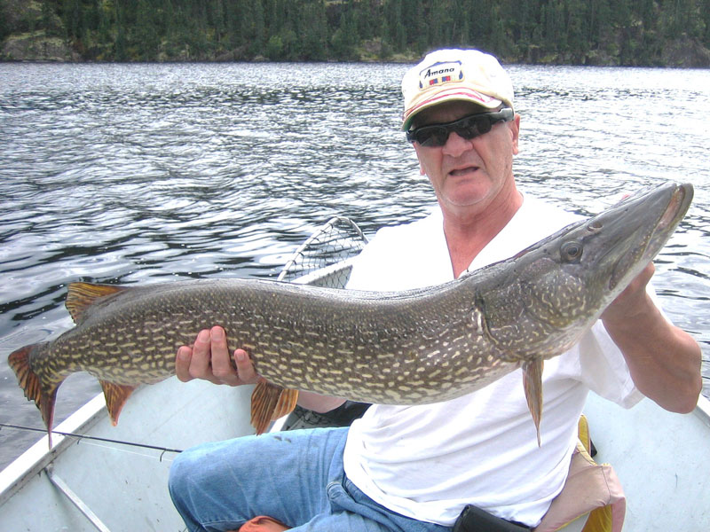 Trophy Northern Pike
