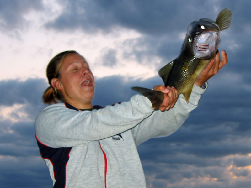 These Fish are Fighters