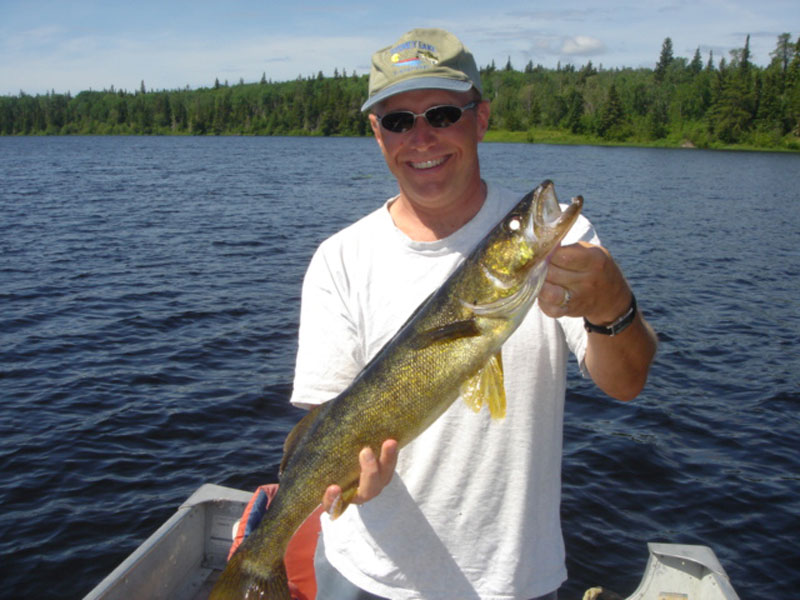 Walleye - Trophy
