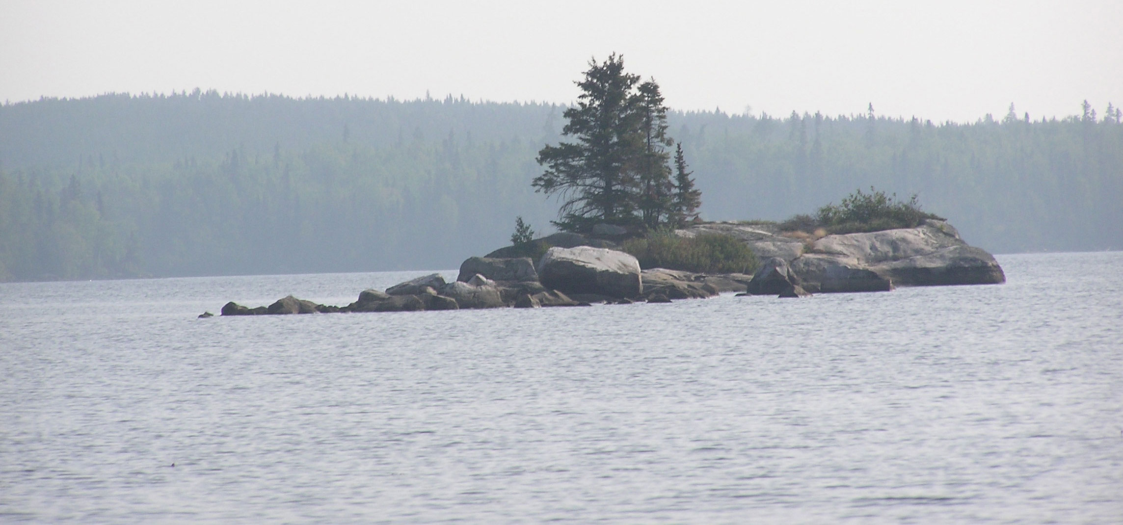 Woodland Caribou Park